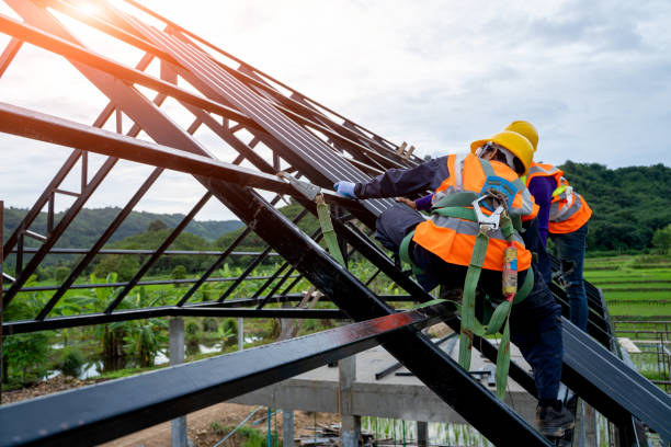 Best Roof Repair Services  in Middlebush, NJ