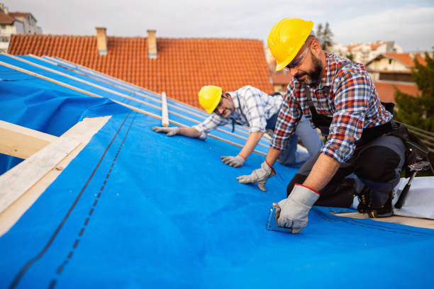 Best Roof Waterproofing Services  in Middlebush, NJ